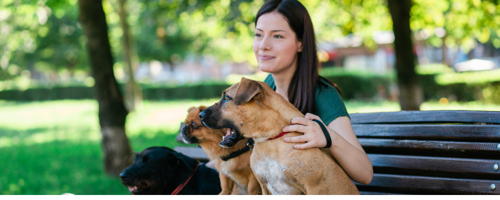 What Dog Owners Need to Know - Capps Insurance